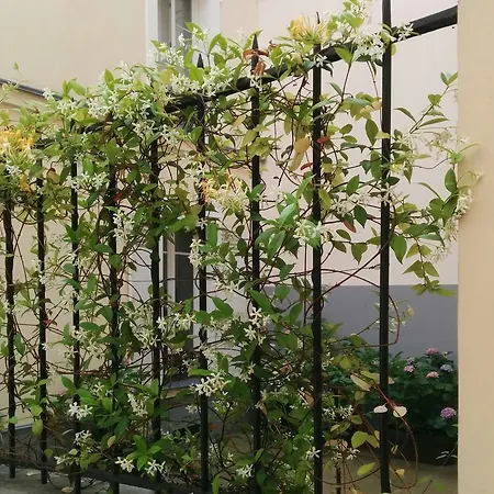 La Cour Du 5eme - D'hotes Bed & Breakfast Paris