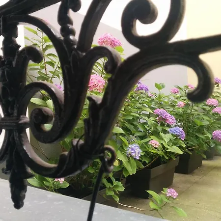 Bed & Breakfast La Cour Du 5eme - D'hotes