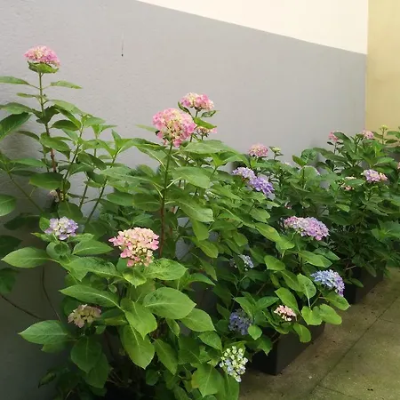 La Cour Du 5eme - D'hotes Bed & Breakfast