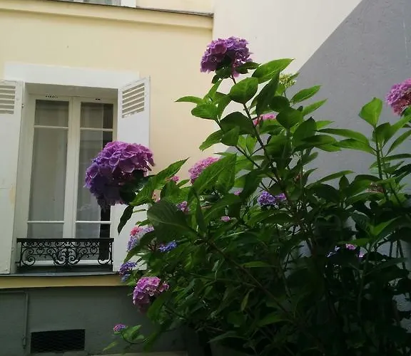 Bed & Breakfast La Cour Du 5ème - D'hôtes Parigi