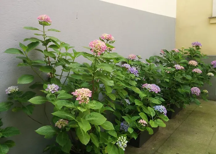 La Cour Du 5ème - D'hôtes Bed & Breakfast